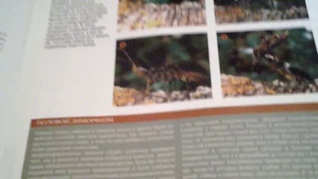 Насекомые и их знакомые 10 (юбилей) смотреть онлайн