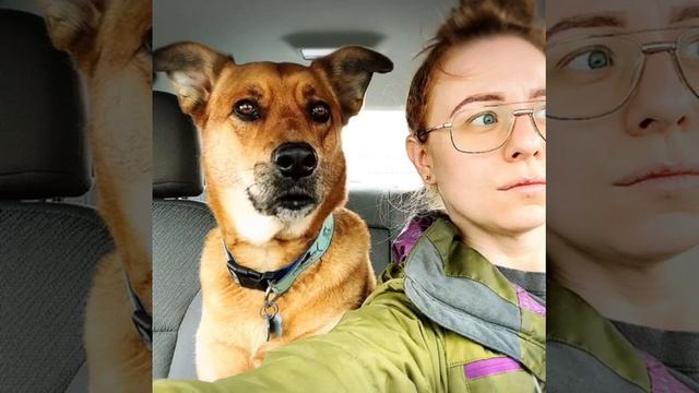 MANIMALS // Ep 2 смотреть онлайн