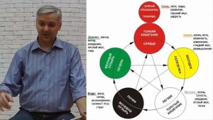 У-Син: Как по звукам и вкусам человека определить энергии которые преобладают