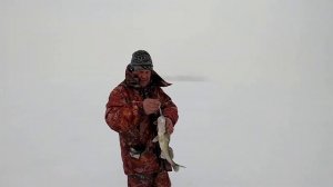 на Рыбалку ,за Судаком в Пено оз.Вселуг