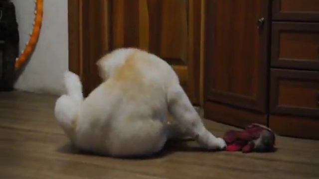 DSC 1590 смотреть онлайн