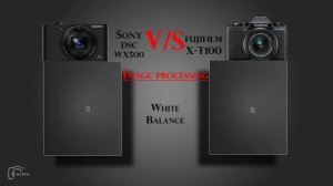 Sony DSC WX500 vs FUJIFILM X T100