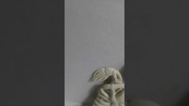 обзор скелета черепахи архелона смотреть онлайн