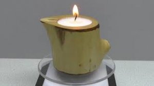 Природа сама придумала форму для подсвечника