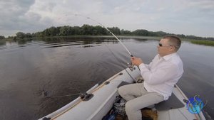 РЫБАЛКА НА ЗАКИДУШКИ. Ловля сома на мясо ракушки 2 я Часть!