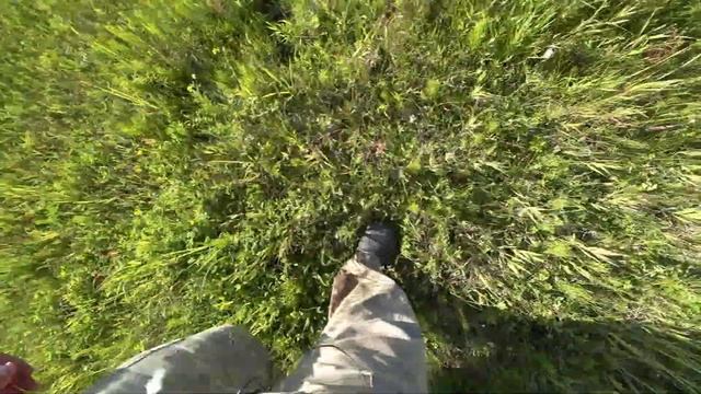 Ревизия травы на покосе. смотреть онлайн