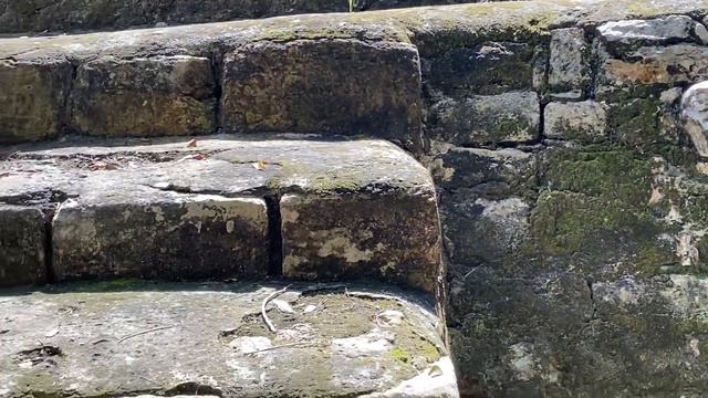 The Mayan ruins of Cobá (Mexico). Discover the best of it in this 10 minutes video смотреть онлайн