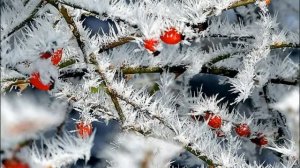 Стихотворение "Мама! глянь-ка из окошка...". Автор: Афанасий Фет