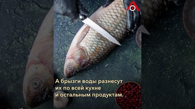 Жарим правильно: почему нельзя мыть рыбу и мясо