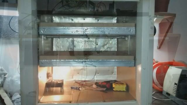 Инкубатор из морозильной камеры! смотреть онлайн