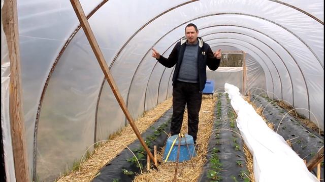 Балаган для клубники. СЕКРЕТЫ установки балагана. смотреть онлайн