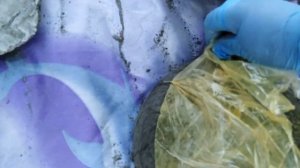 САДОВЫЕ ФИГУРКИ СВОИМИ РУКАМИ 4 вида!