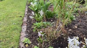 Vlog 79 - Английская пословица - Мой дом - моя крепость, мой сад - моя гордость