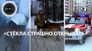 Скорая сбила на переходе | Bentley и Т-72 | Приоткрыли границу | Прогулка с тигром