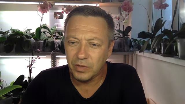 Горячевский куда пропал? НЕ орхидейный стрим - новости недели