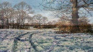 Martin Taylor - An Artist At One With Nature