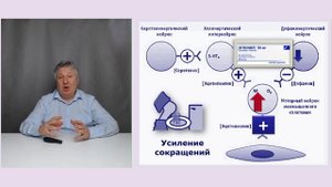 Лечение синдрома раздражённого кишечника. От гомеопатии до ноотропов