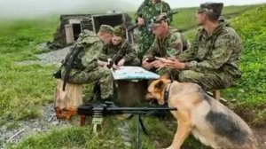 Всех пограничников С праздником!/28 мая-день пограничника/Пограничные войска