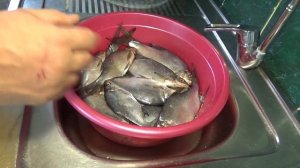 КАК СОЛИТЬ РЫБУ ПРОСТОЙ  И БЫСТРЫЙ ДЕДОВСКИЙ СПОСОБ КАК СУШИТЬ РЫБУ ВЯЛЕНАЯ РЫБА