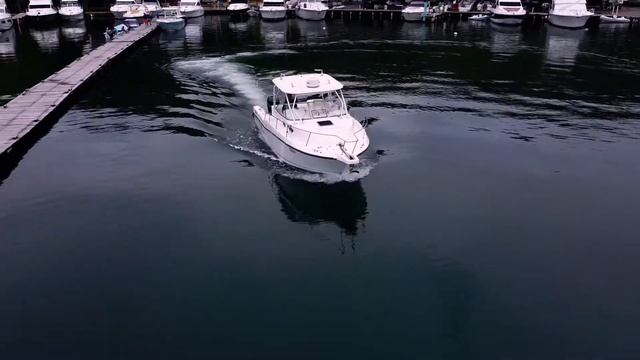 Pricipessa Boston Whaler Conquest 305 смотреть онлайн