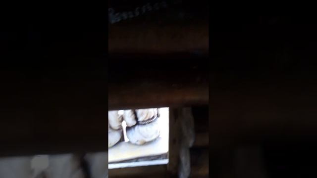 ПОЛЯНА СКАЗОК, УЛИЦА СТРОИТЕЛЕЙ смотреть онлайн