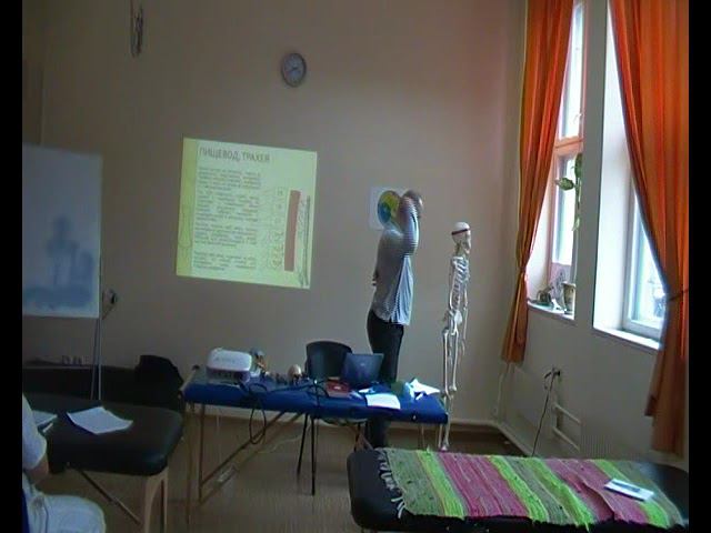 Семинар ВИСЦЕРАЛЬНАЯ ОСТЕОПАТИЯ 1 ВО1_06 смотреть онлайн