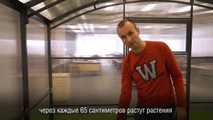Теплица "Рублевская Про" шириной 3 м