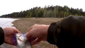 СУПЕР снасть "СЕТЬ С КОРМУШКОЙ! у РЫБЫ нет шансов!!!