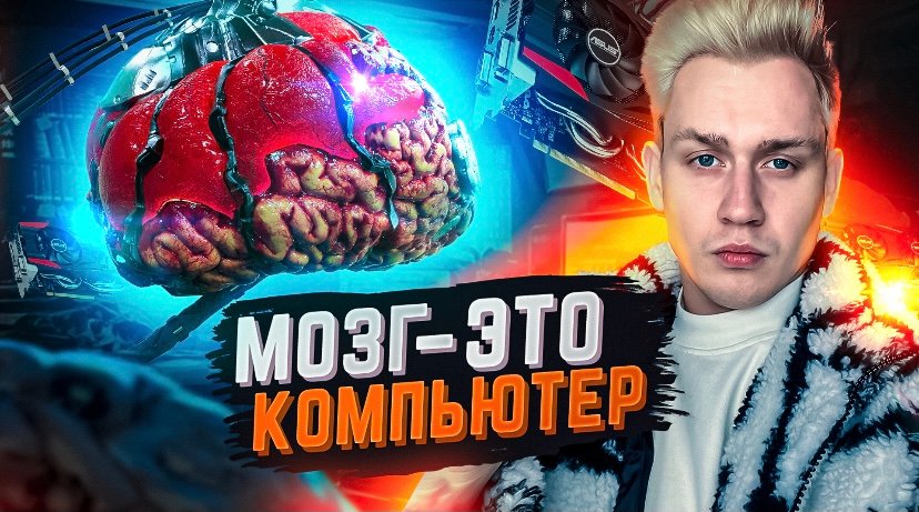 Мозг это компьютер?