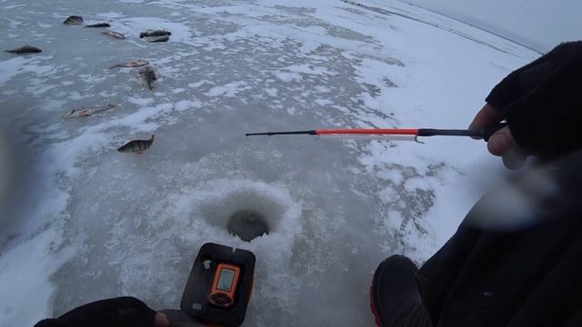 Ловля окуня зимой на Псковском озере смотреть онлайн