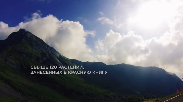 Тропа Альпийские луга/Всесезонный курорт 