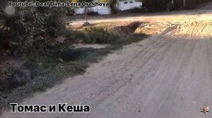 Видео до слезы/ Спасения котёнка