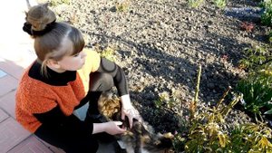 Флокс шиловидный уход посадка выращивание дома на даче посадка флокс