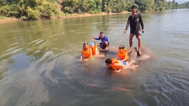 Купание со слонами|Экскурсия на реку Квай|Таиланд. смотреть онлайн