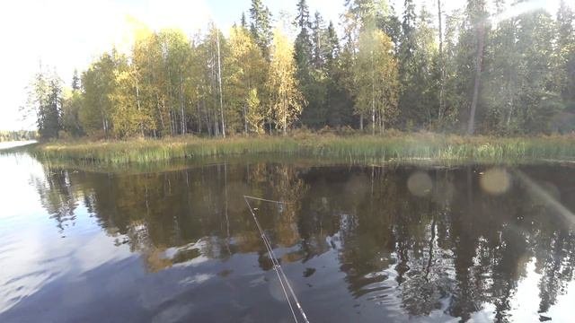 Карелия.ОКУНЬ НА УЛЬТРОЛАЙТ.ЩУКА НА СПИНИГ И САМОЛОВКИ.