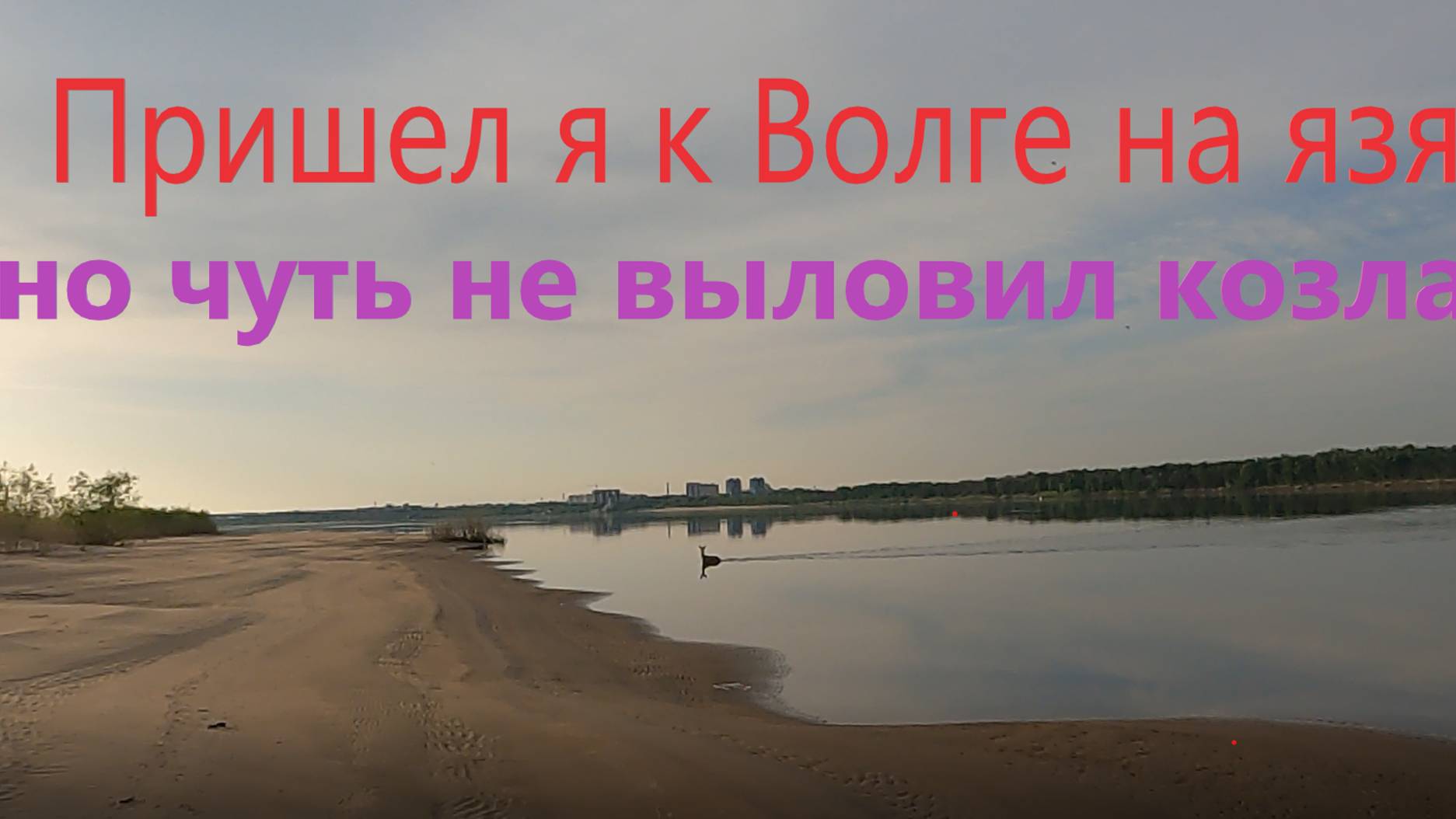 Волга в Волгограде рыбалка на донную удочку с трофеями. смотреть онлайн