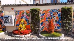 CHRYSANTHEMUM FESTIVAL -LAHR/SCHWARZWALD GERMANY