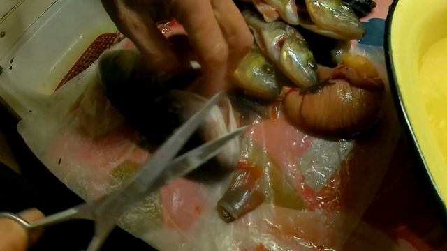 Как чистить окуня смотреть онлайн