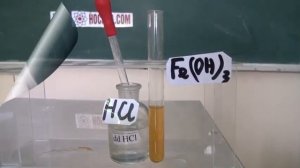 FeOH3 và CuOH2 tác dụng với HCl