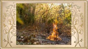 Владимир Захаров Костры