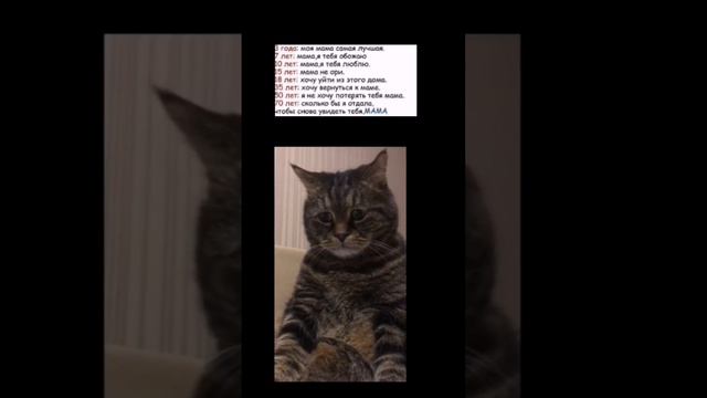 Не надо плакать... я же попросил😭🥀 #грусть #плачь #капец #мама смотреть онлайн