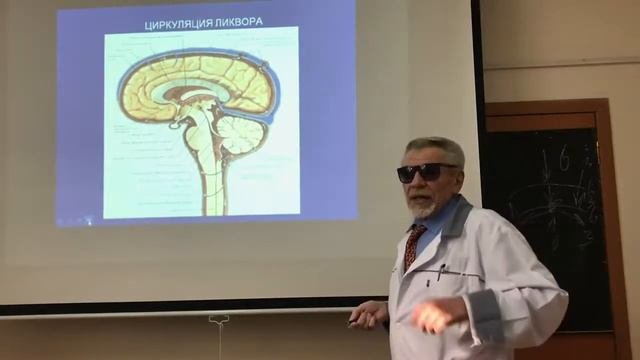 Оперативная хирургия и топографическая анатомия мозгового отдела голо