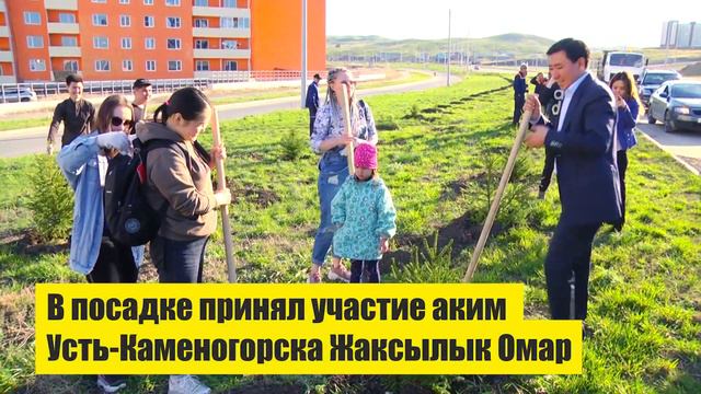 В Усть-Каменогорске продолжается кампания по озеленению смотреть онлайн