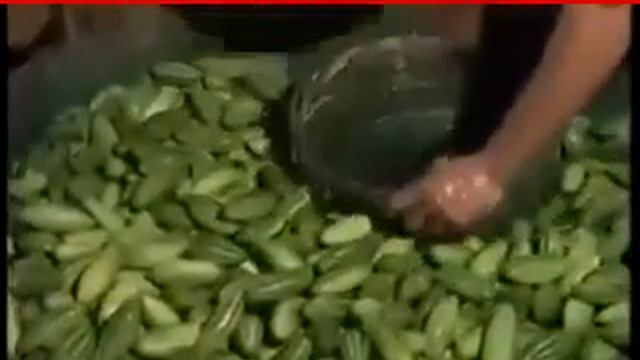 запретное видео