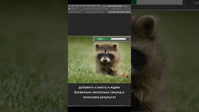 Искусственный интеллект в Photoshop