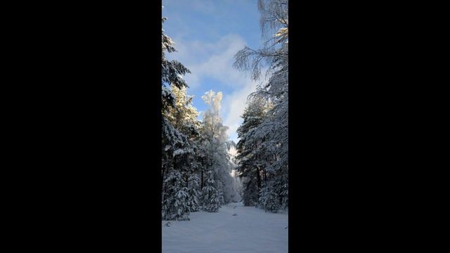 РОЖДЕСТВЕНСКИЙ ПОДАРОК на 2024 год. Музыкальный диск который должен был выйти 20 лет назад. смотреть онлайн