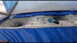 Белоярка ,зимняя рыбалка.