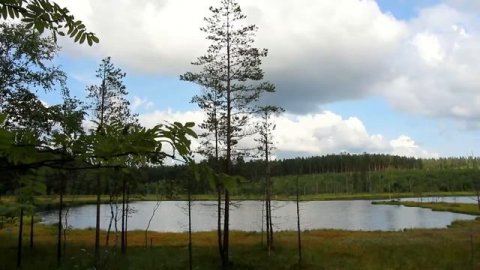 Сапропель, натуральное удобрение для сада и огорода / СОВЕТЫ ЭКСПЕРТОВ