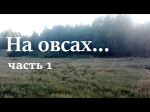 Охота На Овсах. часть 1