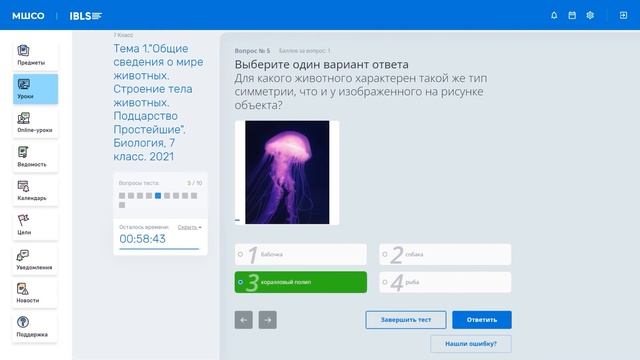 Заочная форма обучения на платформе IBLS